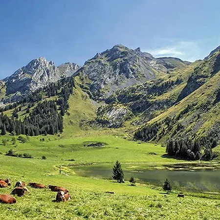 Hotel Les Aravis Saint-Jean-de-Sixt